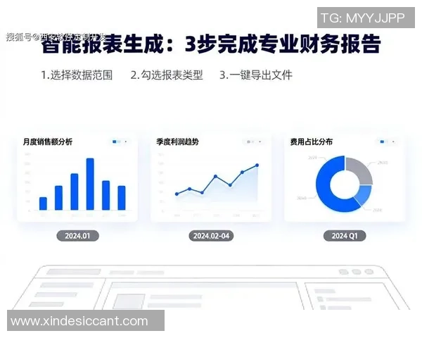 定制化服务助力企业发展快盈VIII满足各类规模需求