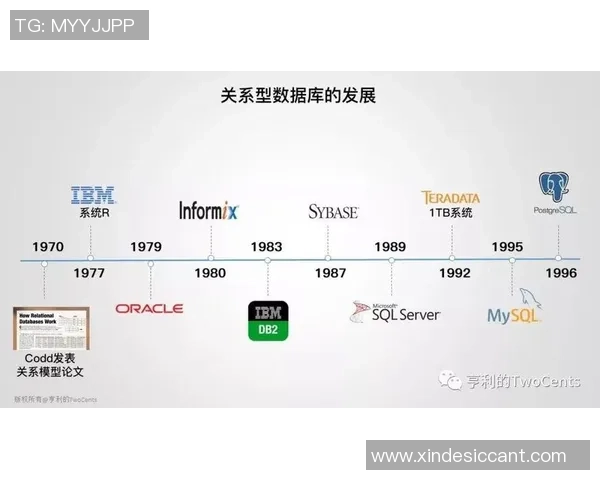 快盈VIII核心产品架构深度解析助力高效工具的创新与发展